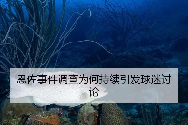 恩佐事件调查为何持续引发球迷讨论